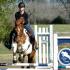 MTEA Schooling Show
